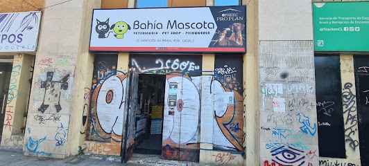 Bahia mascota Valparaiso