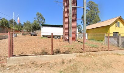 Bug's Hunter Control de Plagas Valparaíso-Viña