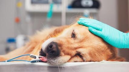 Clínica Veterinaria Pacífico Sur