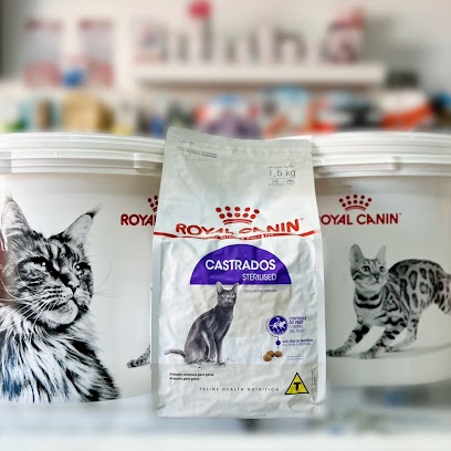 Dr. Mascota Clínica Veterinaria y Spa