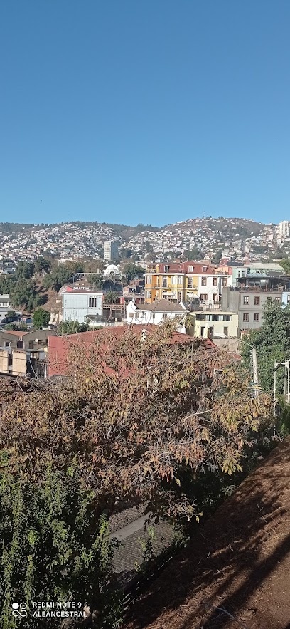 El rincón de Alejandra