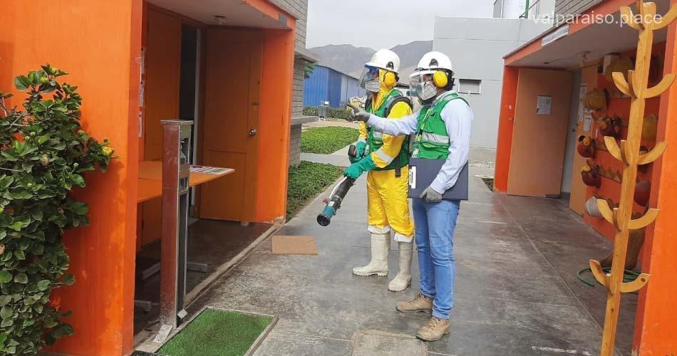 Las 6 mejores empresas de fumigación de Valparaíso