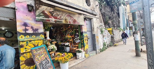 Floreria Mery en Valparaíso