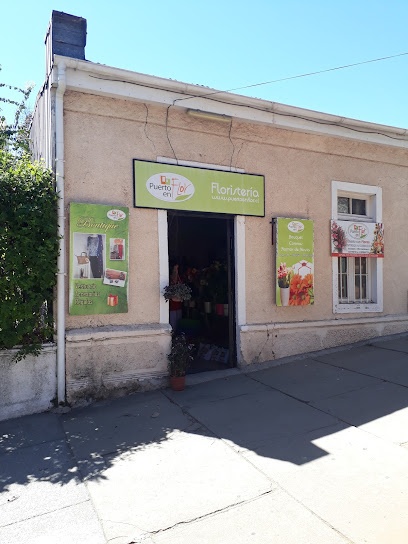 Floristería Puerto En Flor