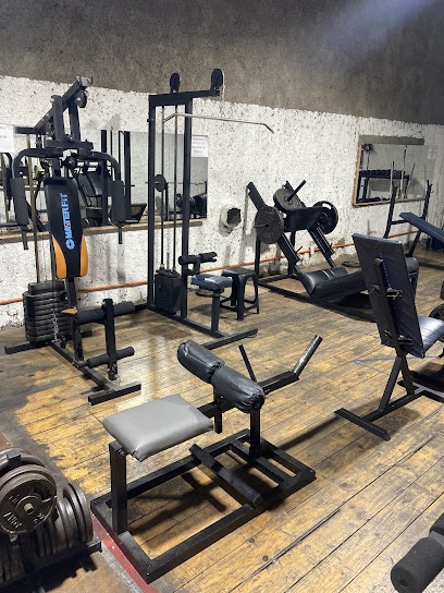 Gimnasio Fenix SPA 2636
