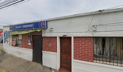 Icaro Seguridad, Valparaíso