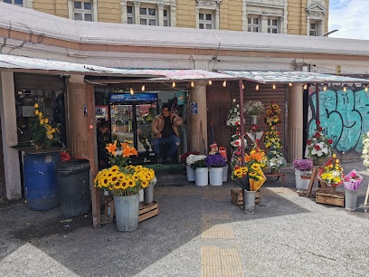 Jardin Primavera - Floresyalgomas.cl Local 2 Valparaiso