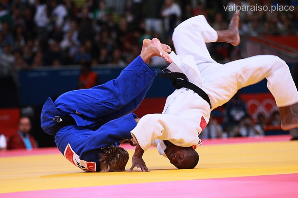Las 6 mejores academias de judo de Valparaíso