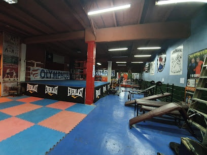 Kenp Boxing