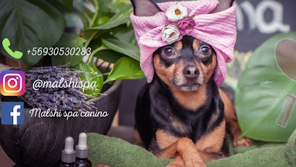 Malshi Spa canino y terapias alternativas