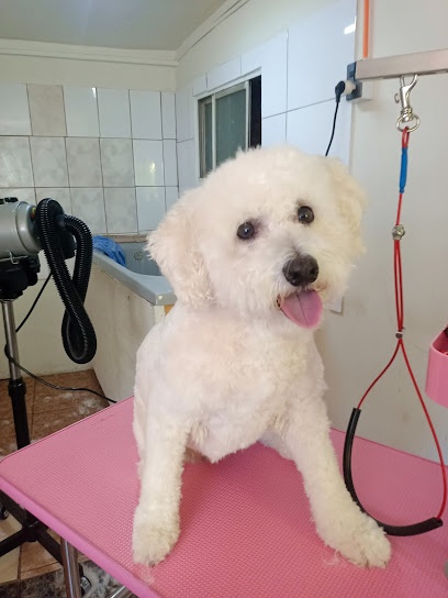 Peluquería Canina Love Poodle's