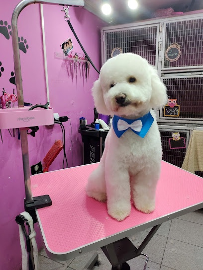Peluqueria Canina Pelos y Patas