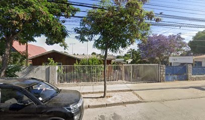 Transportes Viani Limitada