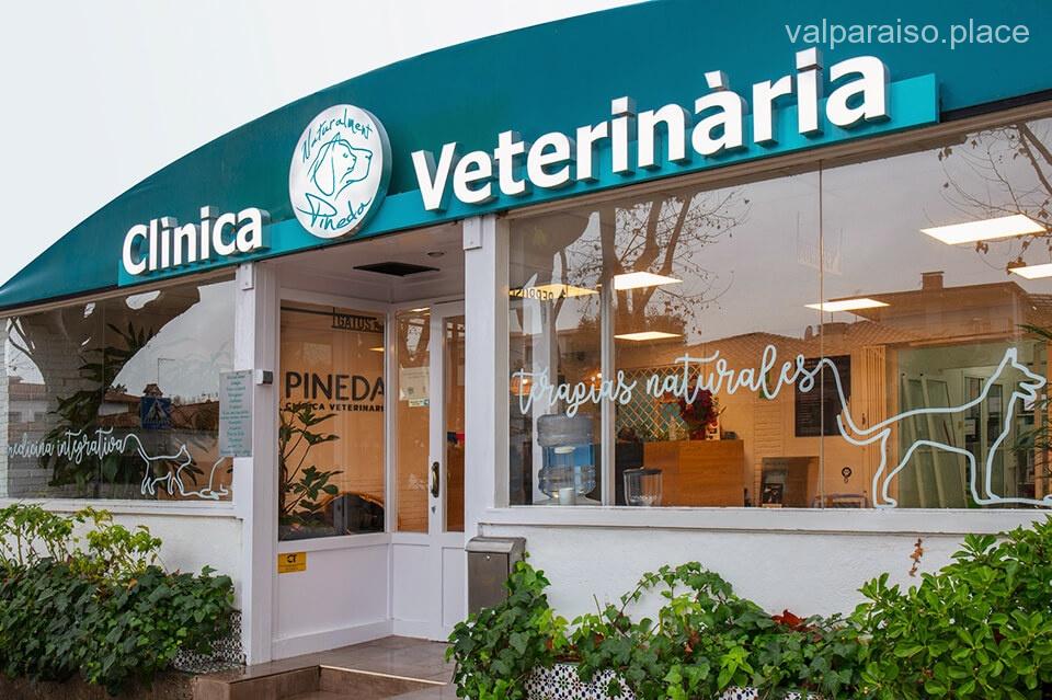 Las 10 mejores veterinarias de Valparaíso