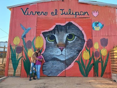 Vivero El Tulipán